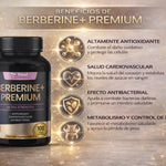BERBERINA + PREMIUM | MEJORA TU METABOLISMO | MIMOOS COLOMBIA