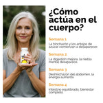 CANDIDA CLEANSE | EQUILIBRIO INTESTINAL | MIMOOS COLOMBIA